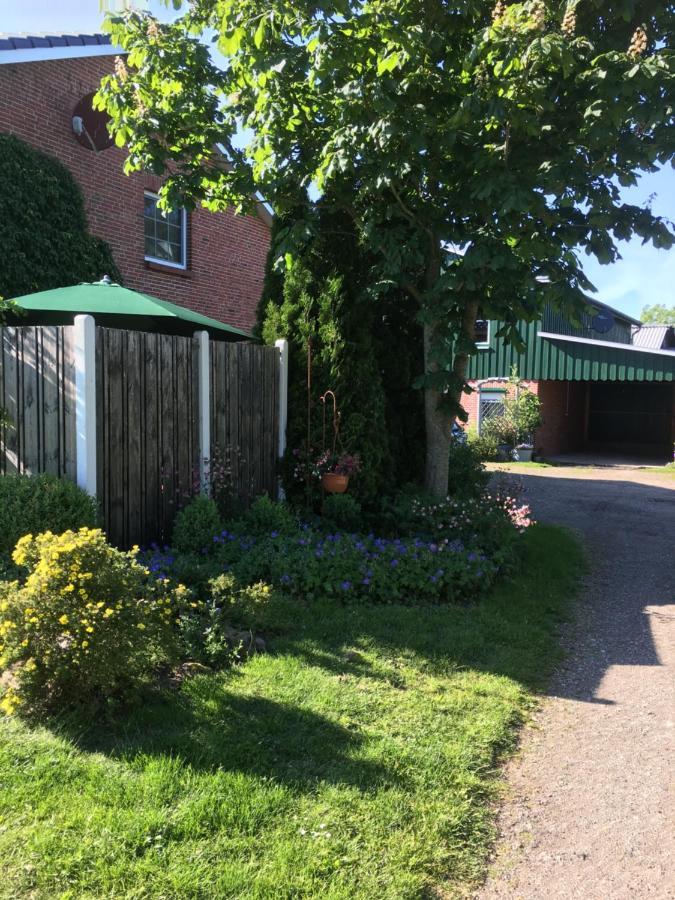 Ferienhaus Staben Eggstedt Exterior foto